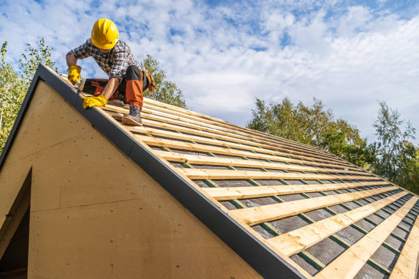 Professional Roofing Contractor in Delta, OH