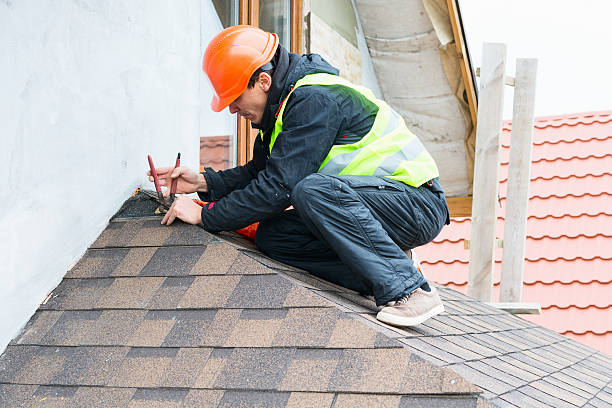 Best Roof Leak Repair  in Delta, OH