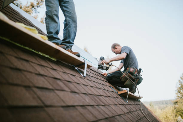 Best Gutter Installation and Roofing  in Delta, OH