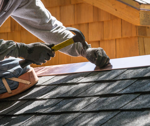 Roof Gutter Cleaning in Delta, OH
